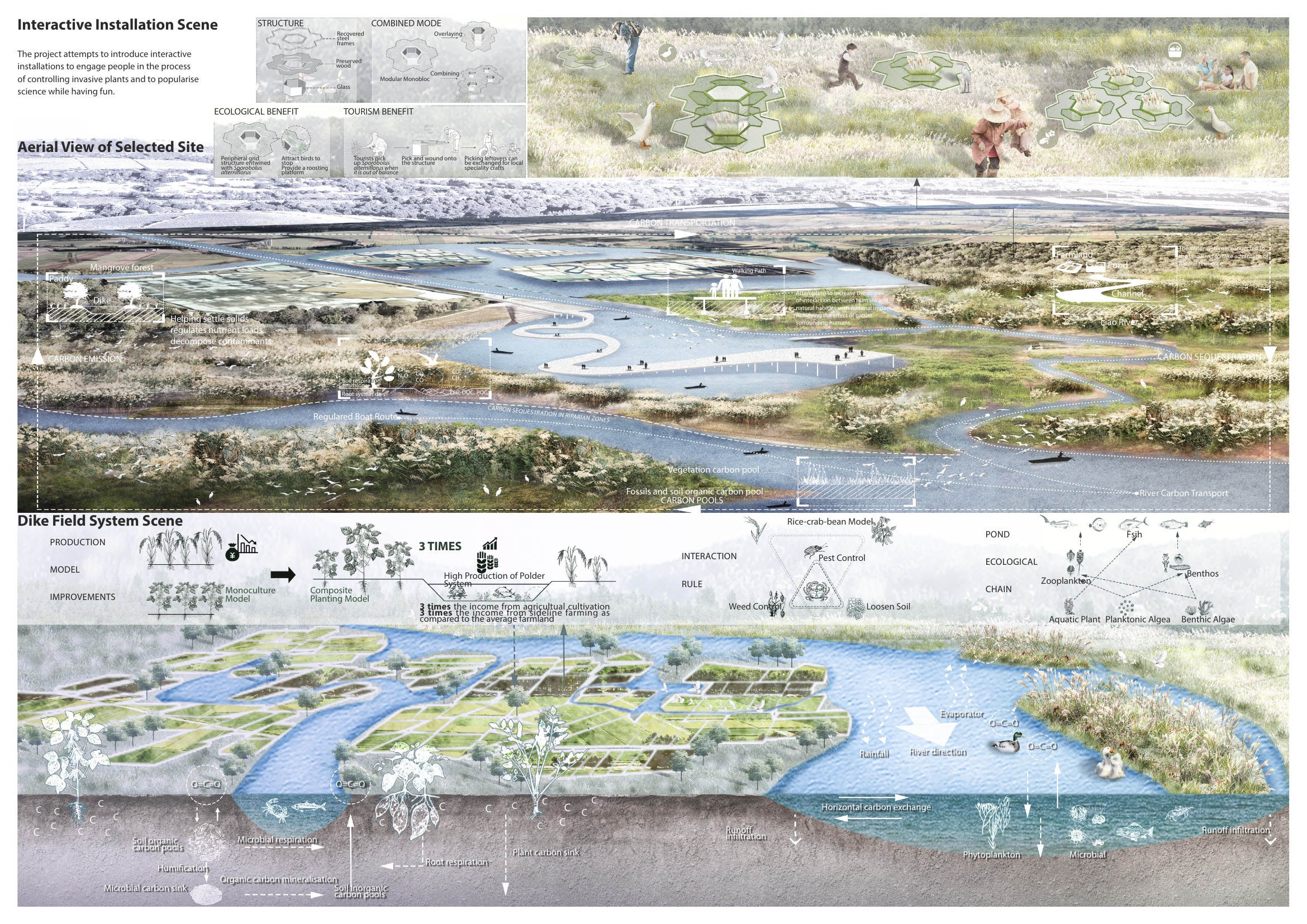 Blue Carbon Wetland Oasis — project board 3 of 3